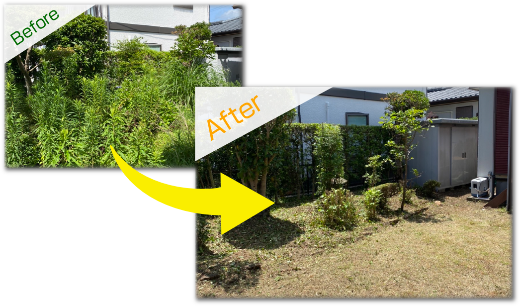 Before-After